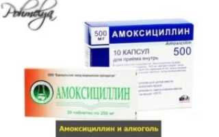Амоксициллин и алкоголь совместимость