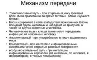 Трансмиссивный путь передачи инфекции это
