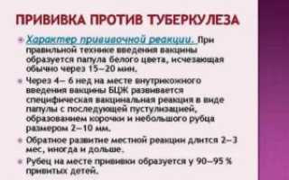Прививка от туберкулёза взрослым