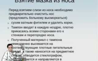 Взятие мазка из зева и носа алгоритм