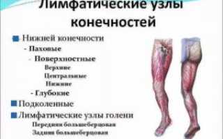 Где находятся лимфоузлы на ногах