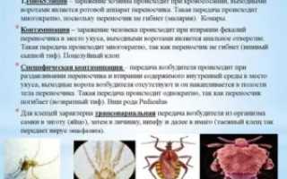 Трансмиссивный путь заражения это