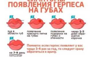 Как долго проходит герпес на губе