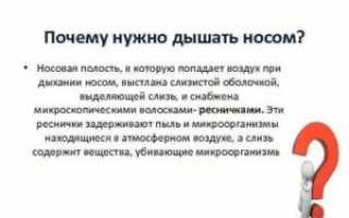 Почему нужно дышать через нос