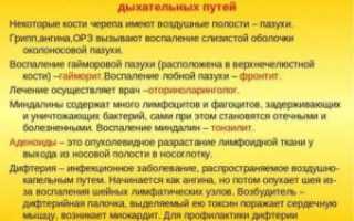 Хронические заболевания дыхательных путей