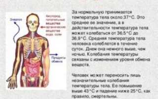Почему горит тело а температуры нет